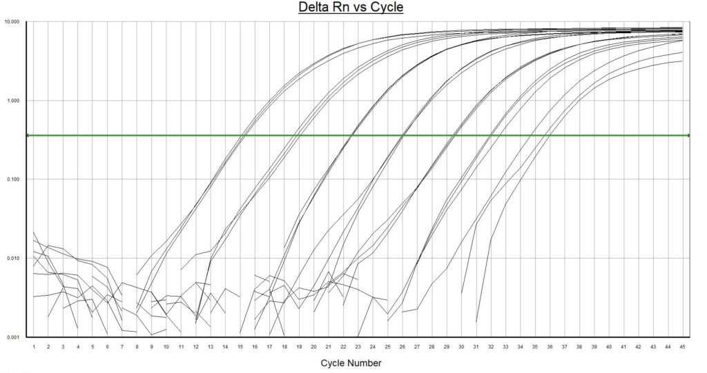 Logarithmic fluorescent output curves with eTaq qPCR master mix based on 10^6, 10^5, 10^4, 10^3, 100, 10 and 1 target DNA copies per 25 µl reaction mix in triplicate.