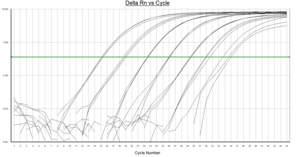 environmental Taq qPCR mastermix