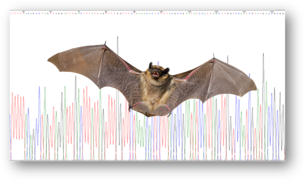 DNA(Meta)barcoding master mix